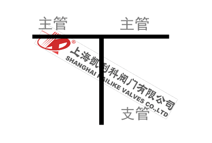 高壓T型過濾器管路支管圖